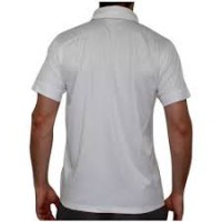 /album/galeria-de-fotos-pagina-inicial/polo-versso-jpg/